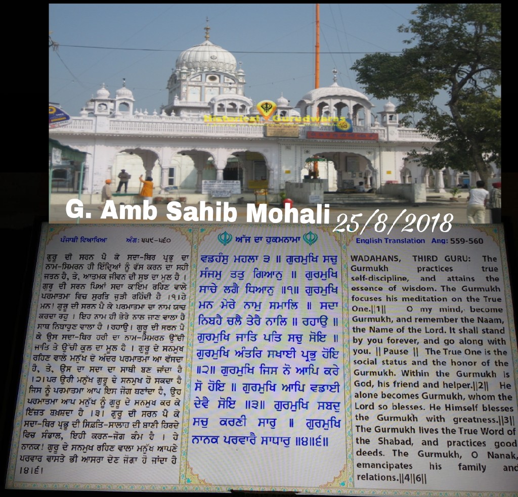 Shri Amb Sahib Ji, Mohali, Punjab